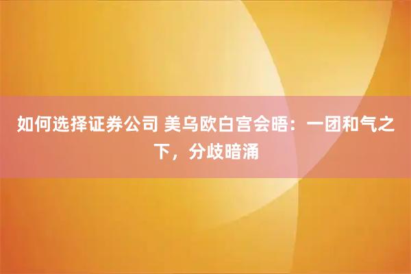 如何选择证券公司 美乌欧白宫会晤：一团和气之下，分歧暗涌